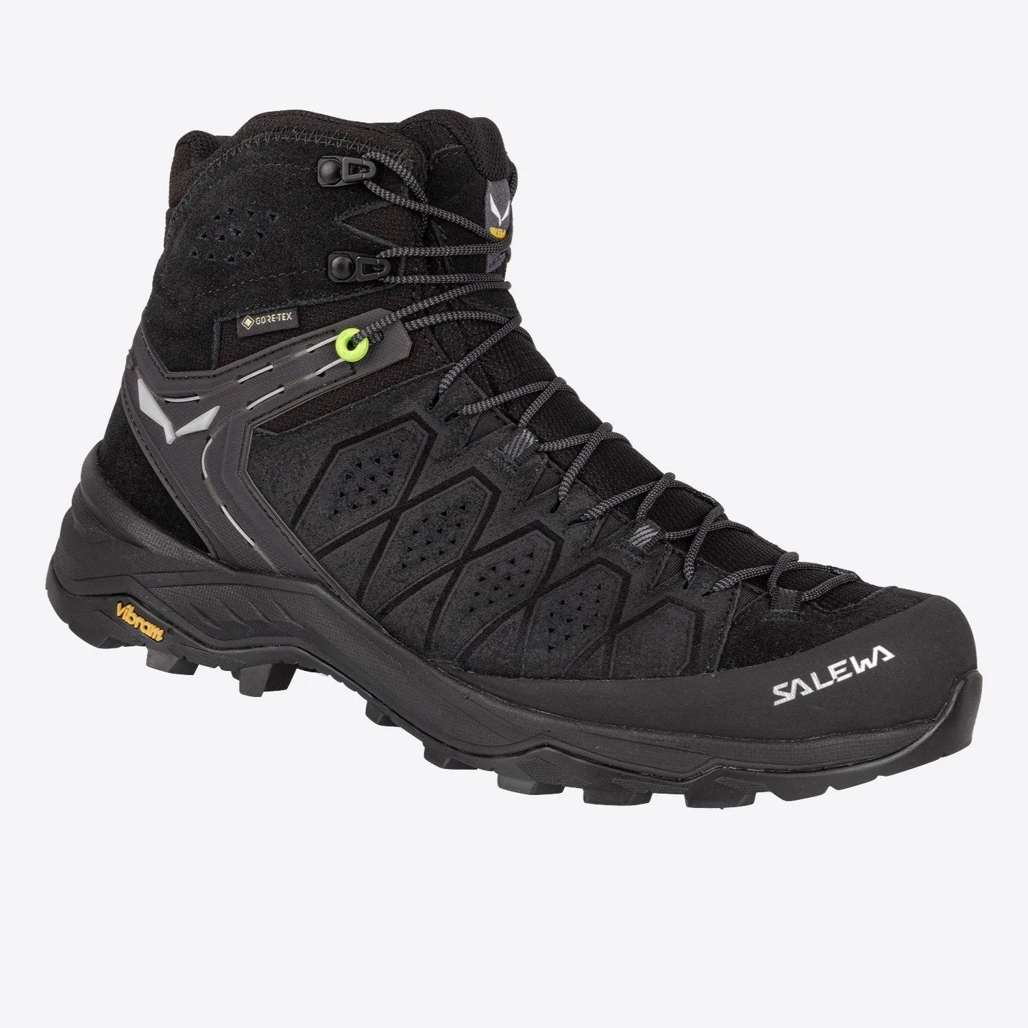 Alp trainer gore-tex hiking shoe