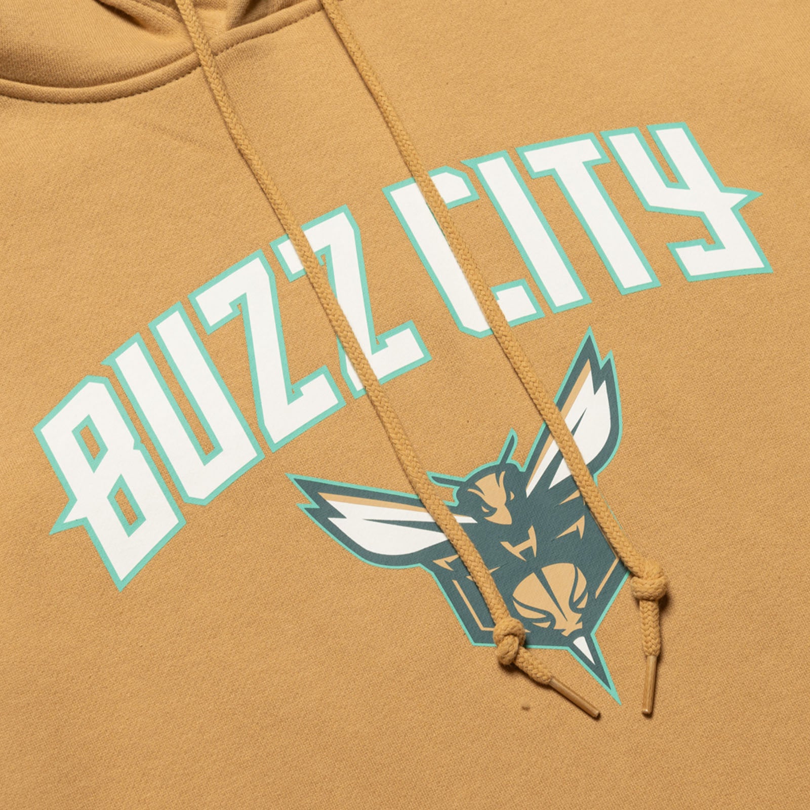 Charlotte Hornets 2024 City Edition Pullover Hoodie